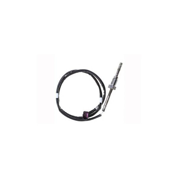 Turbo Sıcaklık Sensörü / Partikül