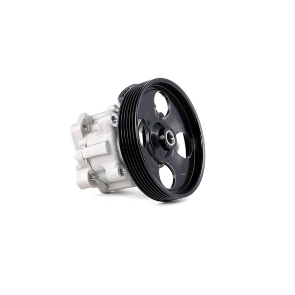 Hidrolik Direksiyon Pompası