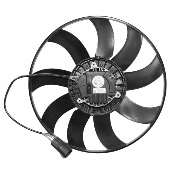 Fan