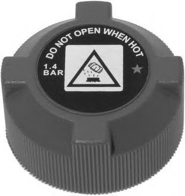 Radyatör Ek Depo Kapağı